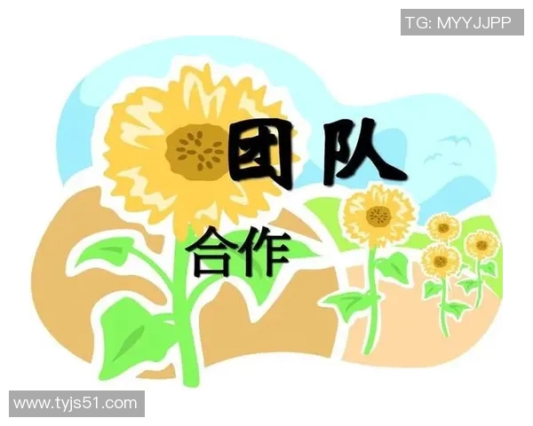 武汉乒乓球队的团队协作之道：凝聚力与默契的完美结合